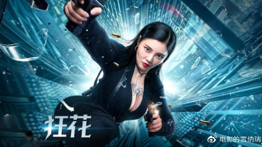 pmp证书图片